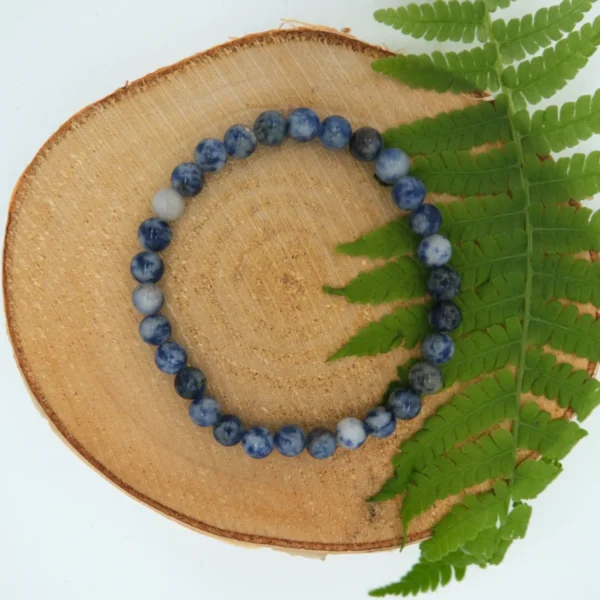 Flecken Jaspis blau Edelstein-Armband 6mm Perlen