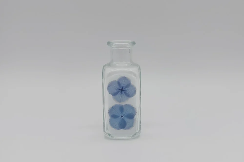 Hortensien Hortensien Vase mit echten Blumen