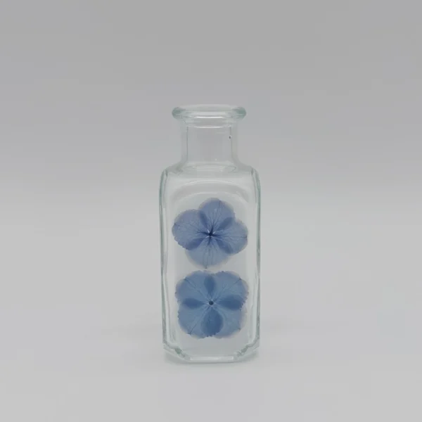 Hortensien Hortensien Vase mit echten Blumen