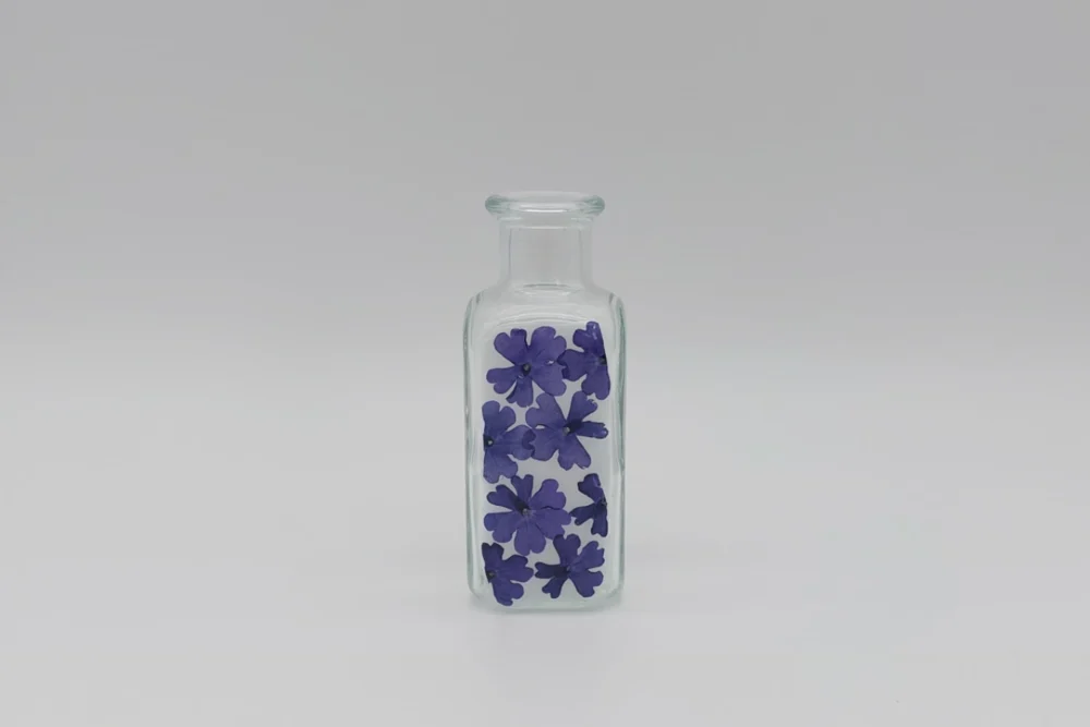Verbene Verbene Vase mit echten Blumen