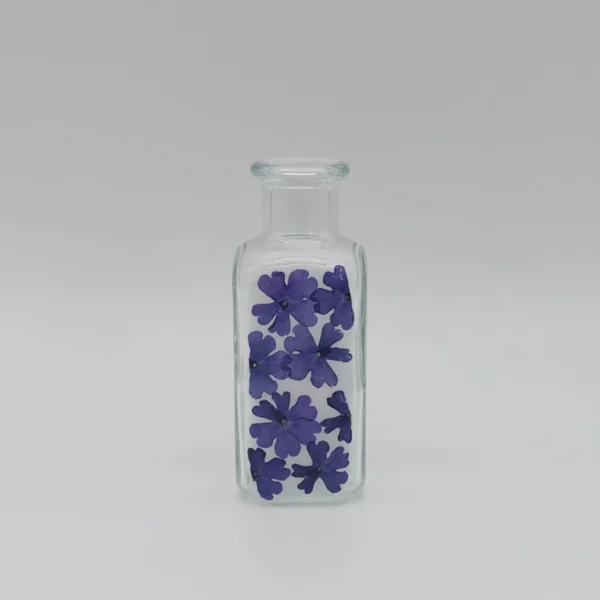 Verbene Verbene Vase mit echten Blumen